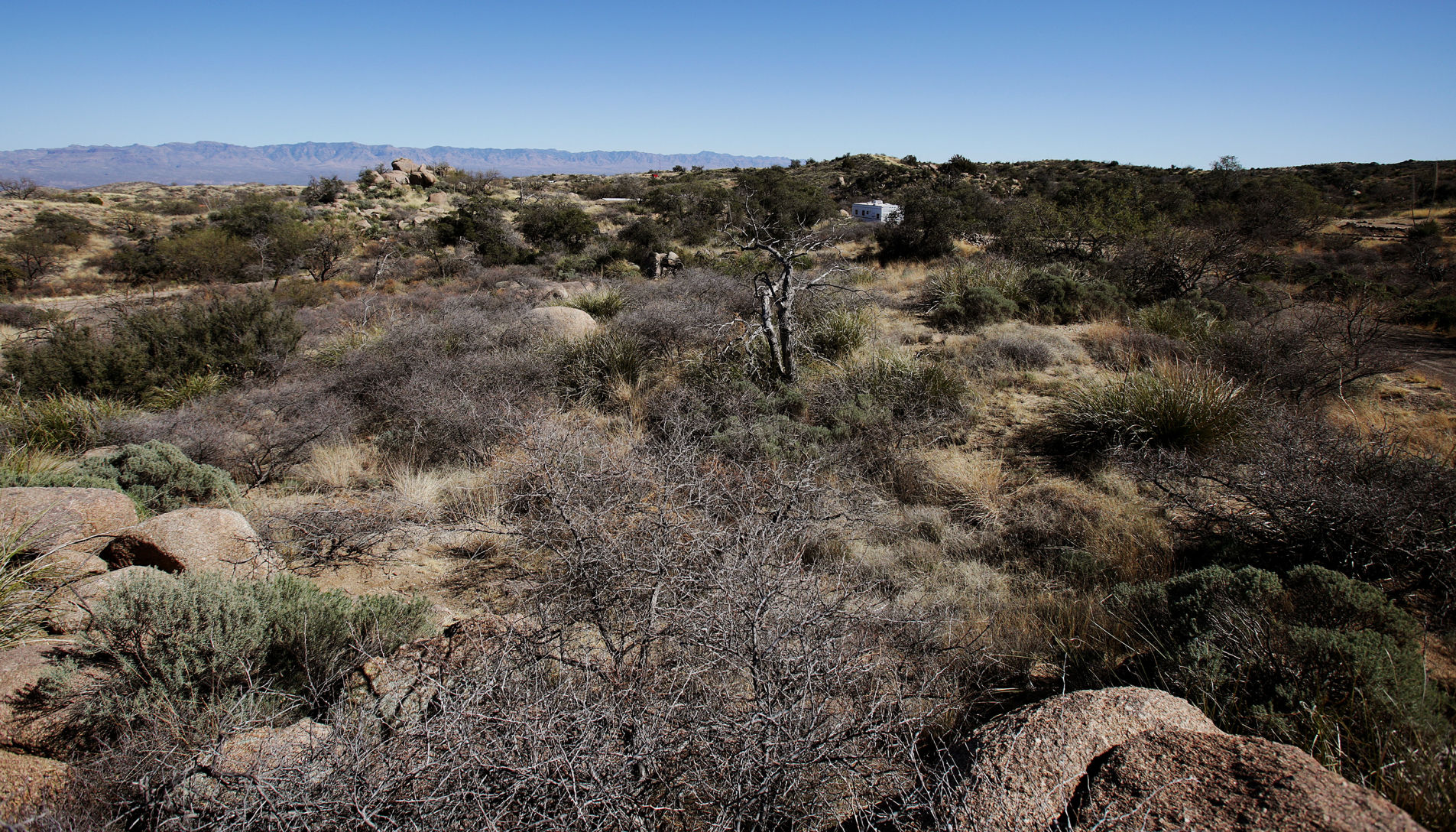 Oracle State Park